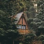 brown and grey wooden cabin surrounded by trees