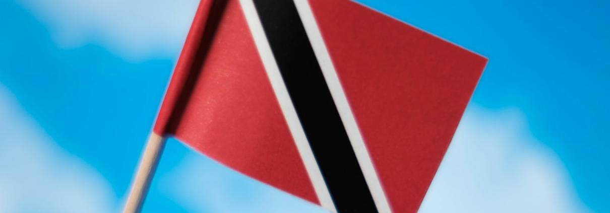 a flag flying in the wind with a blue sky in the background